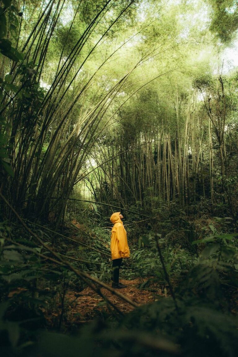 voyage solo journaling carnet