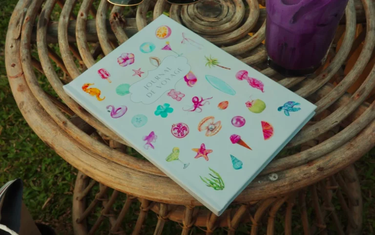 carnet de voyage problemes